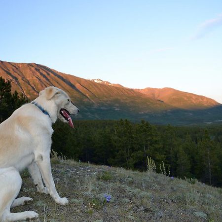 Spirit Lake Lodge Вайтгорс Екстер'єр фото